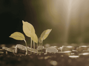 Personal growth and purpose
